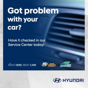 Hyundai Cares